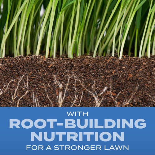 Scotts® Turf Builder® Grass Seed Sun & Shade Mix®