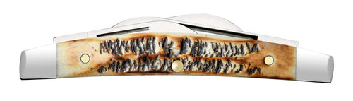 Case 6.5 BoneStag® Small Congress