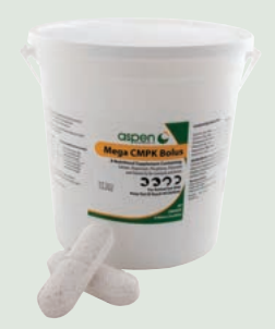 Aspen Mega CMPK Bolus