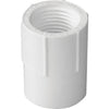 Charlotte Pipe 1-1/4 In. Schedule 40 Female PVC Adapter